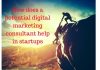 How does a potential digital marketing consultant help