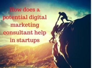How does a potential digital marketing consultant help