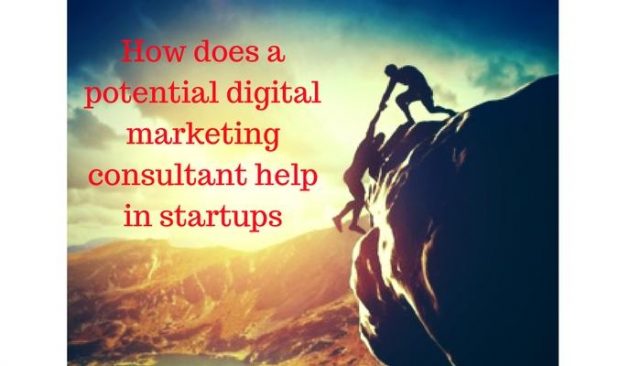 How does a potential digital marketing consultant help