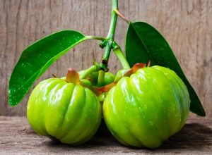 The truth behind dieting pills Garcinia Cambogia Select